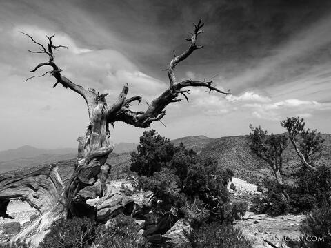 The Jury of The Istanbul Photo Awards 2021 Starts Its Work!