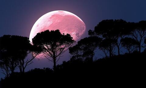  Look Up! Its a 'Pink Supermoon' Blasting in The Skies! 