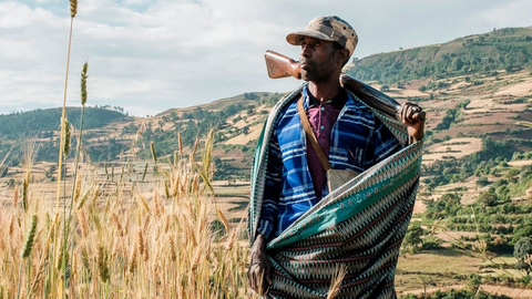 Will Eritrean Troops Exit Tigray?