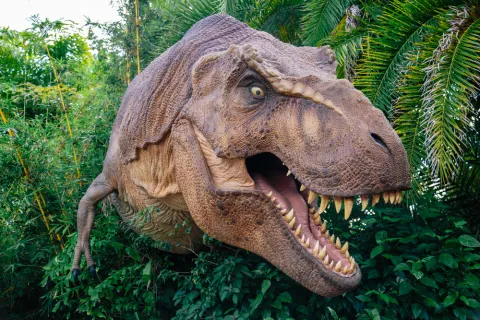 Can we Rebuild a Jurassic Park Full of Dinosaurs?