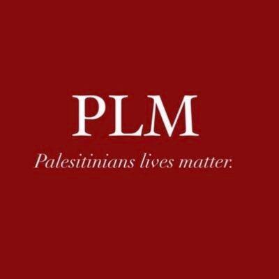 Censorship of Pro-Palestine Content Criticized by Social Media Users 