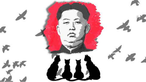 Kim Jong-Un Reportedly Ordered the Killing of All Cats and Pigeons