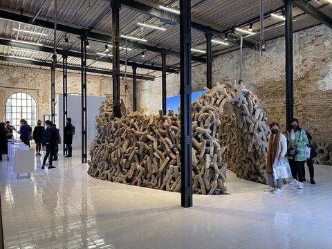UAE Architects Display Its 'Wetlands' in The 2021 Venice Biennale