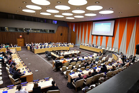 Israel Joins ECOSOC For The First Time