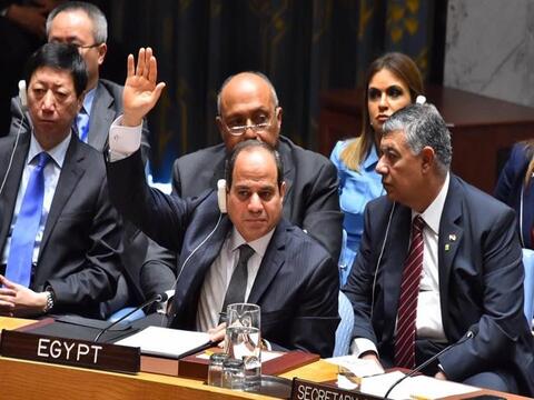 مصر في مجلس الأمن: لا تسقطوا غصن الزيتون