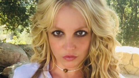 Britney Spears Shares Another Topless Instagram Picture