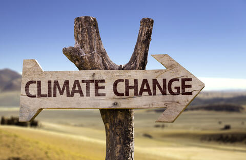 Opinion: Will G20's One-Size-Fits-All Solution Solve Climate Change?