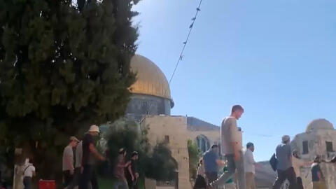 المستوطنون يدنسون الاقصى والاحتلال يزعم احباط عملية تسلل من غزة