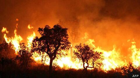 Algeria Wildfires Kill at Least Four People 