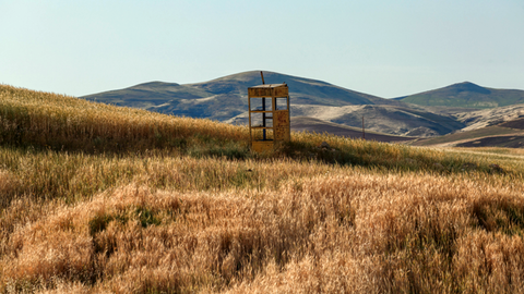 Photographers From 30 Countries In The 9th Edition of Vantage Point Sharjah