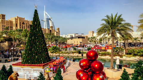 Christmas Trees in the Middle East: Some of the Best 