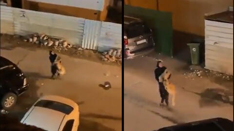 Viral Video: Kuwaiti Woman Tames an Escaped Lion