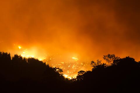 Wildfires Continue to Rage in Spain Amid Heat Wave