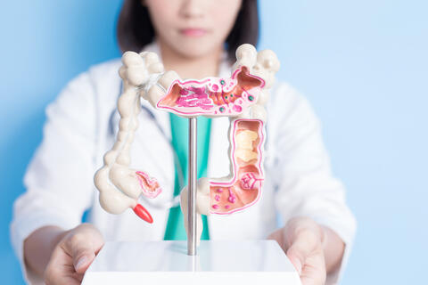 Are Scientists Close to Find Cure For Colorectal Cancer?