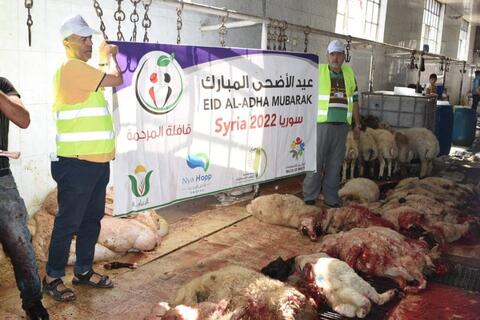 تحمل الأضاحي للاجئين..قافلة 