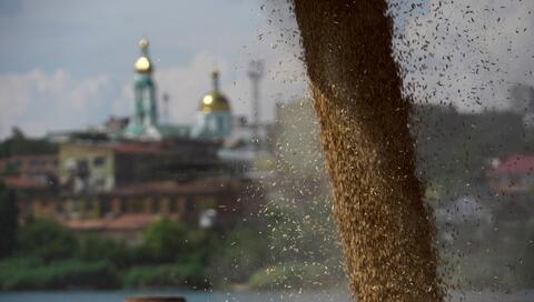 More Ships Carrying Ukrainian Grain Reach Turkey