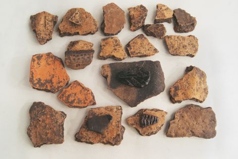 Romania Announces New Bronze Age Discovery