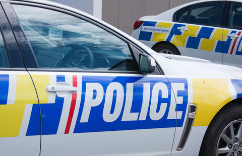 Bodies of Two Young Children Found in Suitcases in New Zealand