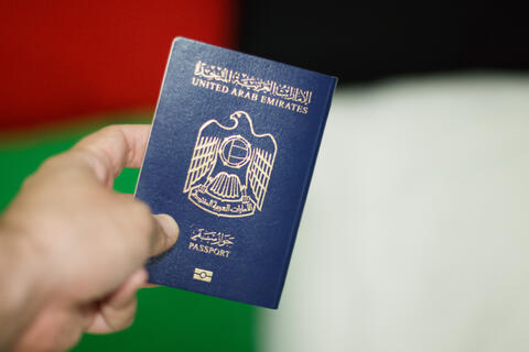 7 Professionals Qualified for UAE Citizenship: All You Need to Know