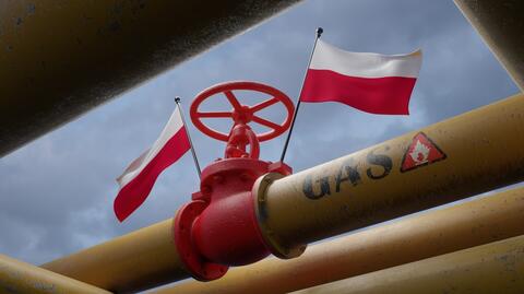 Poland Opens Baltic Pipe Gas Pipeline to Reduce Reliance on Russia