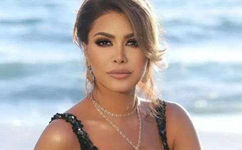نوال الزغبي تخرج عن صمتها بشأن سرقة زوجها ملايين الدولارات منها