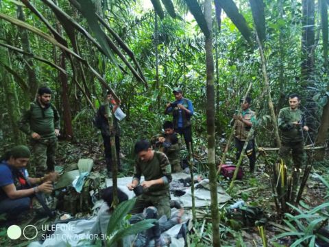 4 children,including baby found alive in Amazon after 40 days