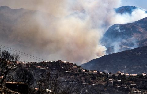 Tragedy strikes Algeria as wildfire death toll reaches 34