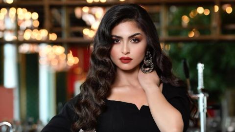 In pictures: Is there a new man in Hala Al-Turk's life?