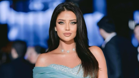 Radwa El-Sherbiny investigated over Facebook post