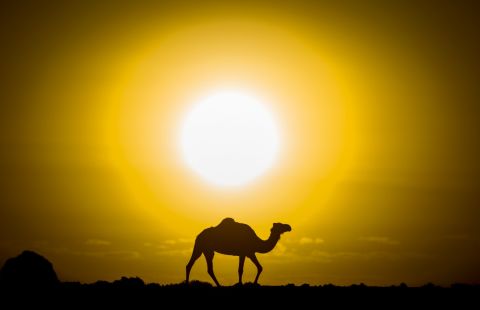 منطقة المغرب العربي تحت رحمة موجة حر خانقة