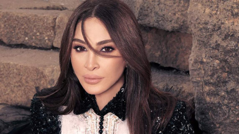 دينا حايك عاتبة على إليسا و نانسي عجرم لتجاهلهما مرضها