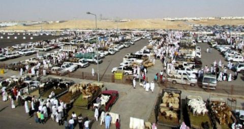 أسواق الطيور بالرياض: دليل المحلات والخدمات والمواعيد