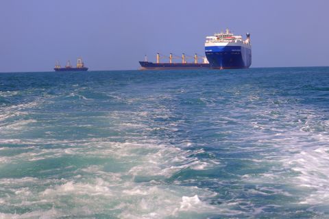 Houthi forces target two cargo ships in the Red Sea