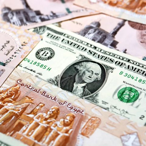 سعر الدولار في السوق السوداء في مصر اليوم الأحد 28 يناير 2024
