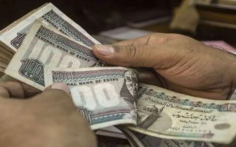 مصر.. قطاعات واسعة ستستفيد من زيادة المرتبات والأجور