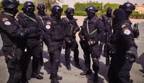 مصر..الأجهزة الأمنية تواصل حربها على تجار المخدرات والسلاح والنقد الأجنبي