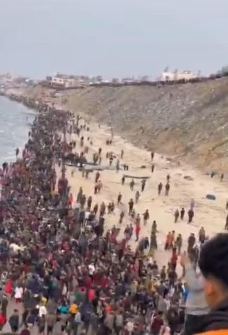 شاهد فرحة أهالي غزة بوصول المساعدات الأردنية