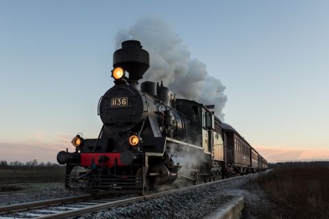 Video: Indian train travels 70km without driver