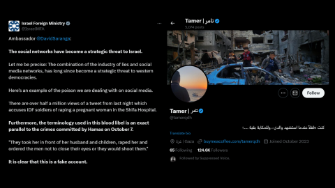 Israel Foreign Ministry leads campaign against pro-Palestine account
