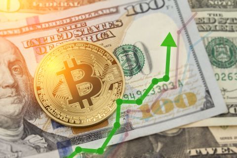 97% of Bitcoin holders are in profit new data shows