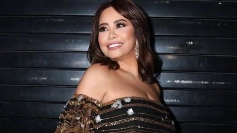 شيرين عبد الوهاب تستعد لزواج جديد و حسام حبيب أول المهنئين
