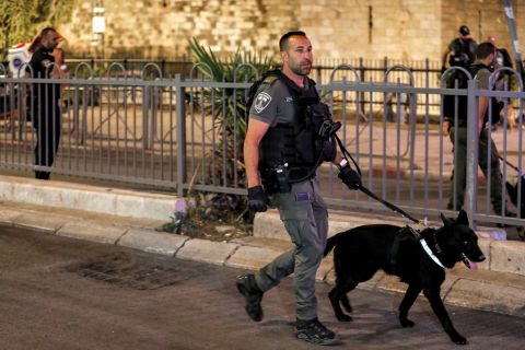 Video: Israeli army dog attacks old Palestinian woman