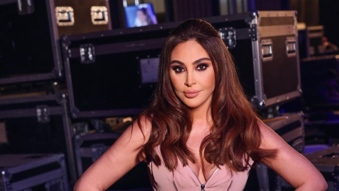 إليسا تصدم معجب بصراحتها: 