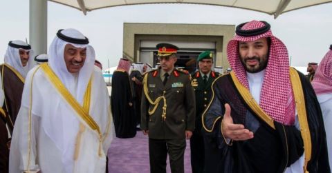 بالفيديو: 