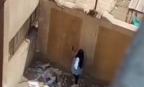 الأردن..الكشف عن الموعد الأقصى لإعلان نتائج الثانوية العامة