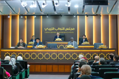 ليبيا تبدي استعدادها للمشاركة في منظمة