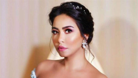 أنباء عن عودة شيرين عبدالوهاب إلى حسام حبيب.. وشقيقها: عملت اللي عليا
