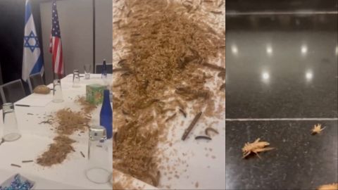 With Mealworms and maggots Pro-Palestine activists disrupt Netanyahu's DC visit