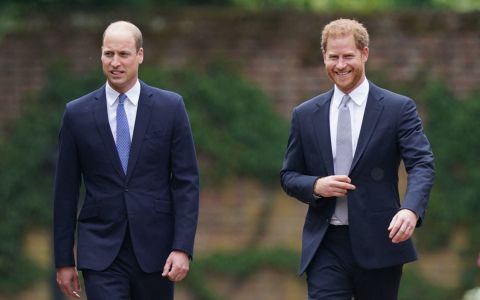 Prince William is waiting for the death of King Charles to reunite with Prince Harry