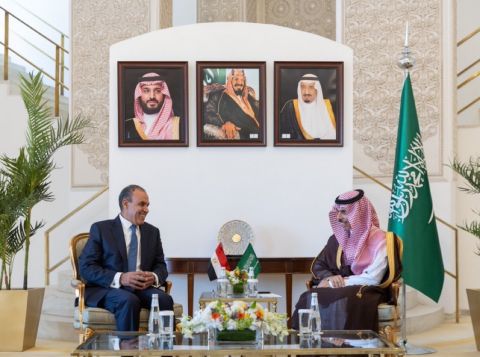 Egyptian FM meets Saudi counterpart in Riyadh: key talks on Gaza